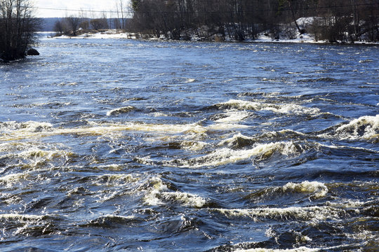 River in Russia in the winter landscape. Forest river with a strong current in the Leningrad region.