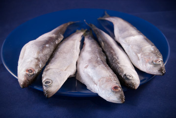 Five sprats on the dark blue plate