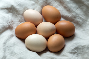 Raw eggs on linen textile