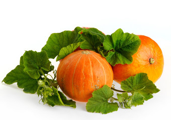 yellow pumpkins vegetables with green leaves isolated