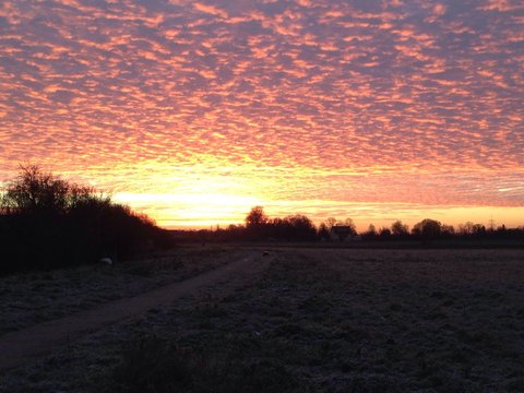 morgenstunden in qlb
