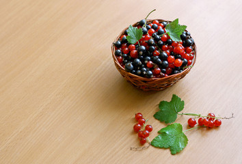 Basket of red and black currants.