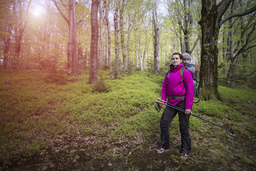 Obraz premium Mom walks in the forest with a child, a child in the children carry.