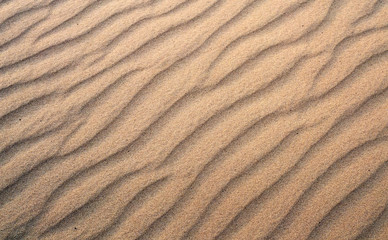 Texture of yellow sand, background