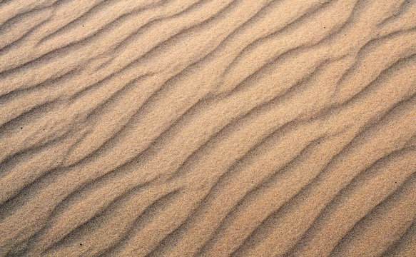Texture of yellow sand, background