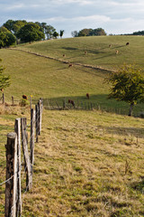 Donzenac (Corrèze)