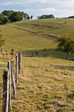 Donzenac (Corr&egrave;ze)