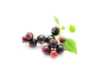 Currants with green leaves isolated