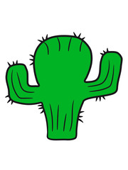 desert sweet cute little cactus comic cartoon baby child
