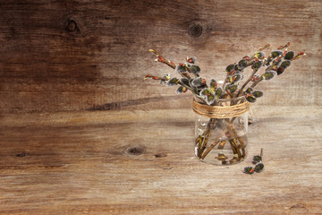 branches willow in a glass of water
