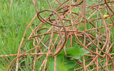 Geknüllte alte Baumatte