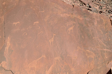 Rock engravings, Twyfelfontein, Namibia