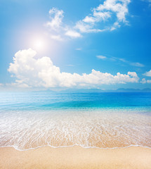 beach and tropical sea