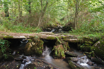 Donzenac (Corrèze)