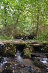 Donzenac (Corrèze)