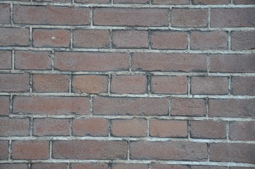 Wall