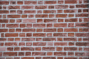 Fototapeta premium Wall 