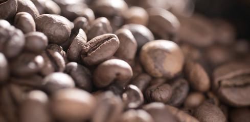 Kaffeebohnen im Close Up und Gegenlicht