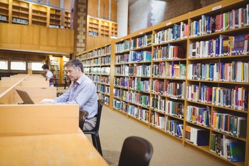 Professor sitting at desk using his laptop