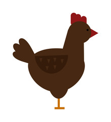 Cute chicken cartoon waving running yellow farm bird vector illustration. 
