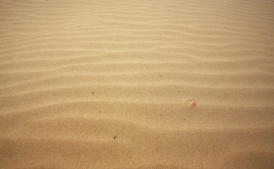 Sand Background