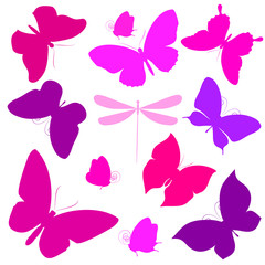 butterflies design