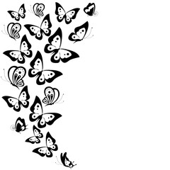 butterflies design