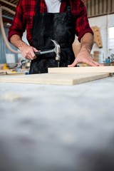 Carpenter working on his craft 