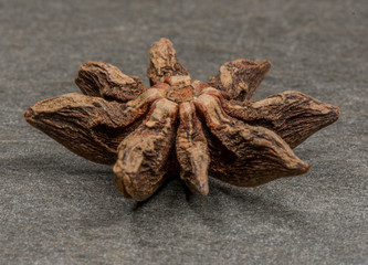 Side View of Star Anise on Slate Background
