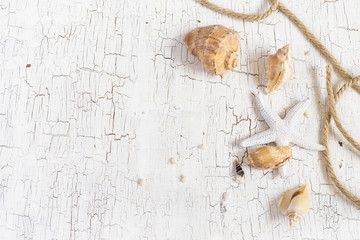 Starfish, seashells and rope on a white background, space for te