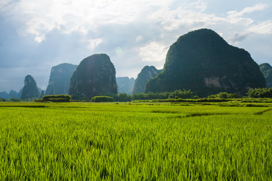 Fototapeta Karst mountains in yangshuo china 