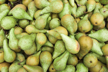 Green pears.  Fresh pears