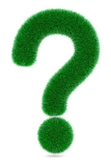 Grassed Question Symbol. 3d Rendering