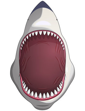 Cartoon Shark Mouth Images – Browse 5,442 Stock Photos, Vectors, and Video  | Adobe Stock