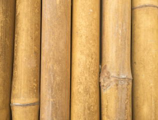 Bamboo wooden texture background