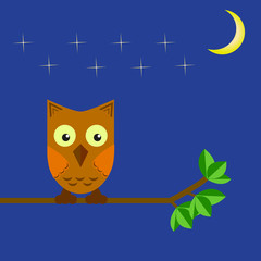 The owl sits on a tree branch in the night sky and the moon