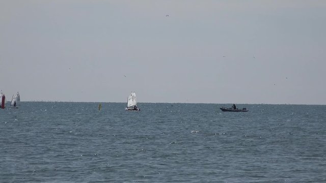 Small sailboats on icy Lake Ontario