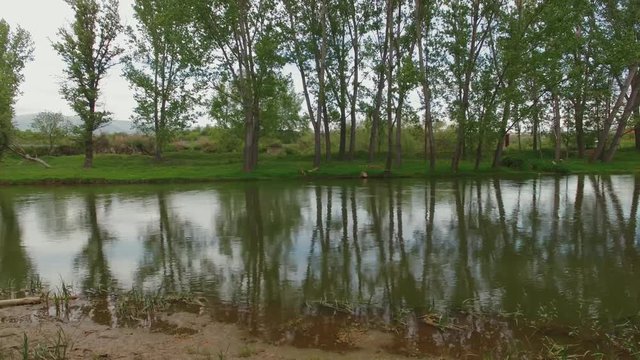 Aerial video over Struma river at spring / Old stone brodge from 1450 year
