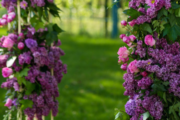 Obraz premium Purple rose and lilac composition background closeup