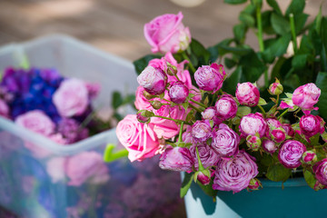 Purple rose and lilac composition background closeup