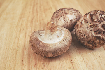 Shiitake mushroom