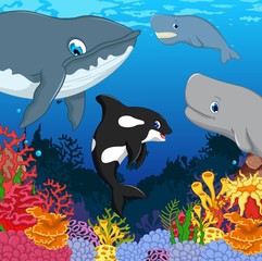 Obraz na płótnie Canvas whale cartoon collection swimming with beauty coral and underwater view background
