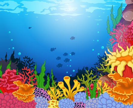 beauty coral and underwater view background