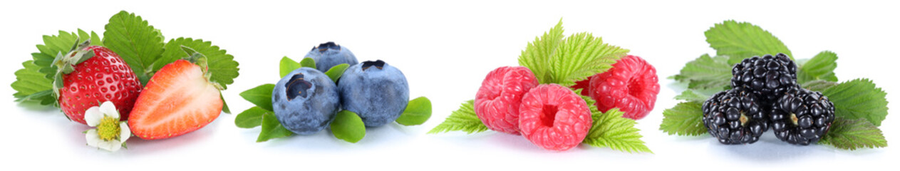 Sammlung Beeren Erdbeeren Blaubeeren Himbeeren Früchte in einer - obrazy, fototapety, plakaty