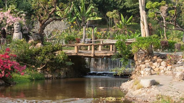 River flows thru the jungle