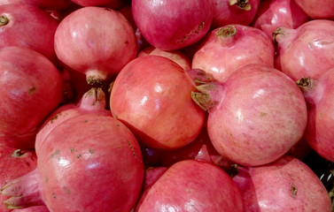 Pomegranate