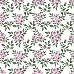 Seamless pattern with pink  flowers  white background