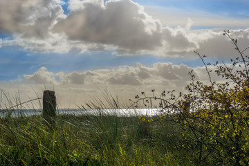 Strand über die Düne durch das Strandgras fotografiert