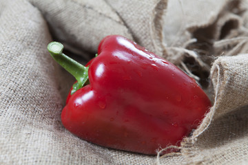 poivron rouge sur tissus nature