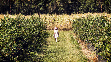 Little girl is going through the corridor in the orchard